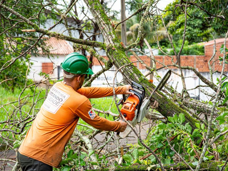 Tree removal crew working near Cedar Rapids