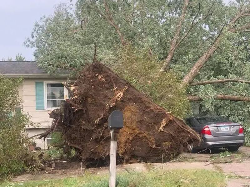 Tree removal job near Center Point, IA