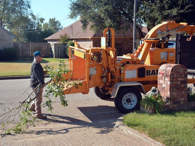 Tree removal job in the Czech Village neighborhood of Cedar Rapids