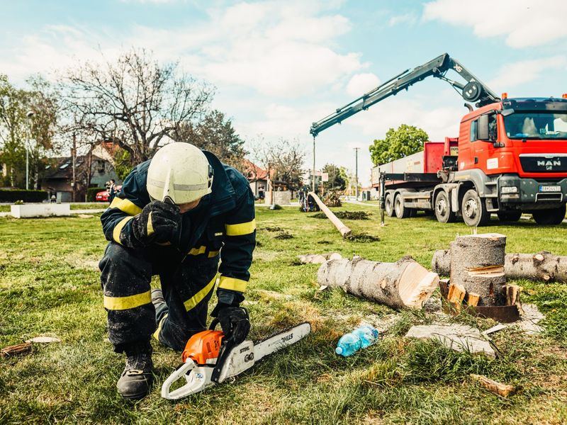 Tree removal job in the Mound View neighborhood of Cedar Rapids