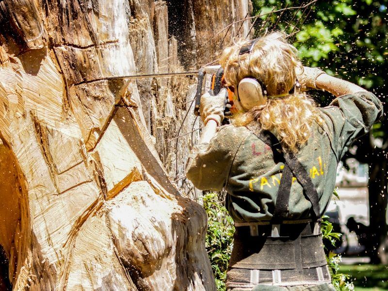Tree removal job near Mount Vernon, IA